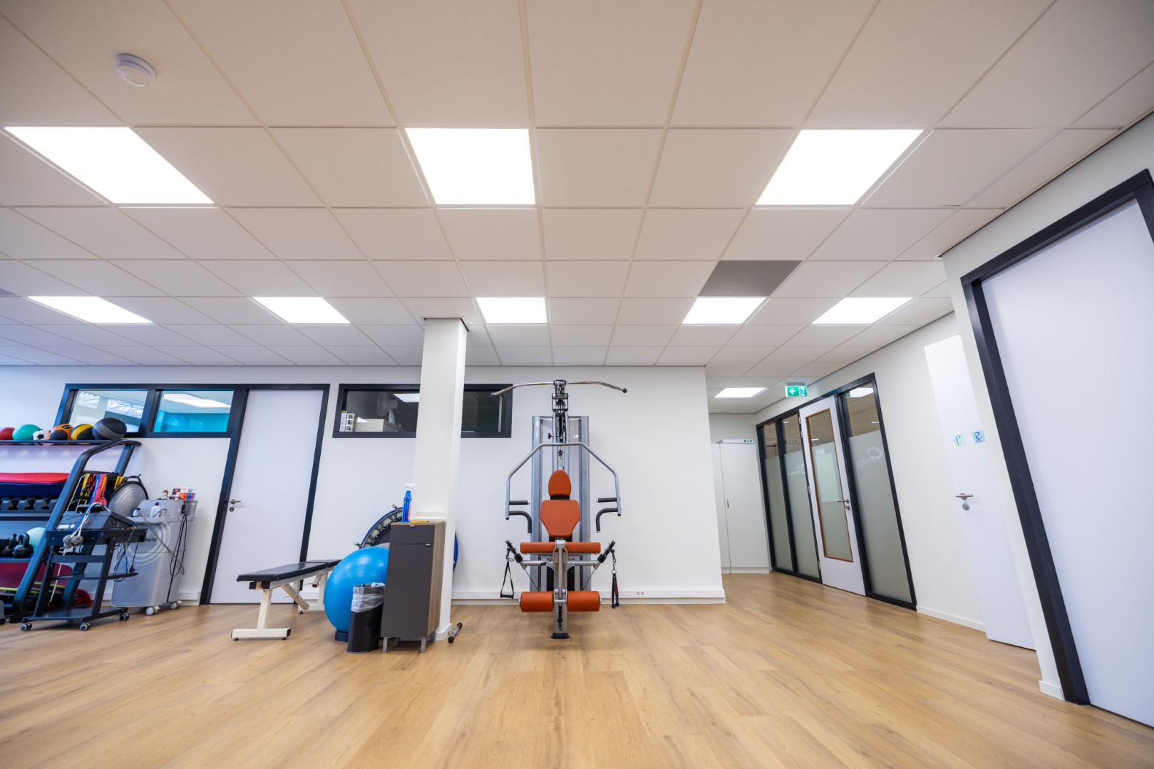 Fysio ProMotion - Leding Light BV